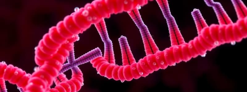 Tryptophan Operon Regulation