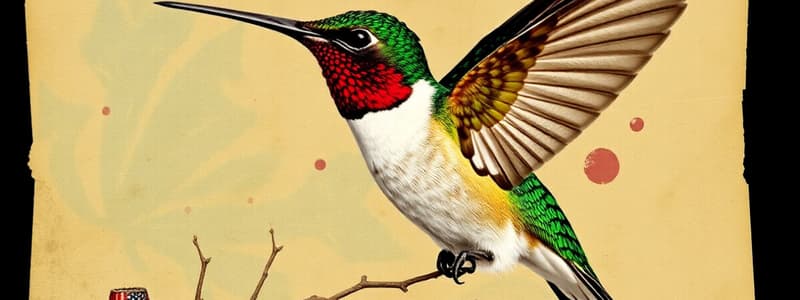 Colibríes: Vuelo y Adaptación