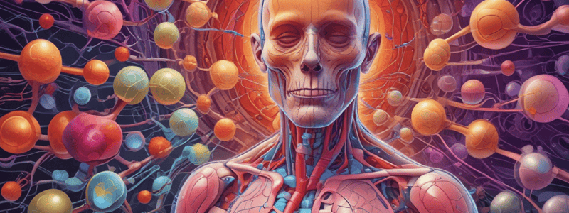 Human Kidney Structure and Function