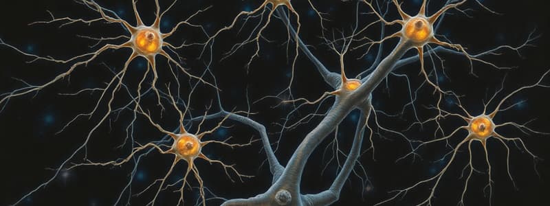 Neurons and Neural Circuits