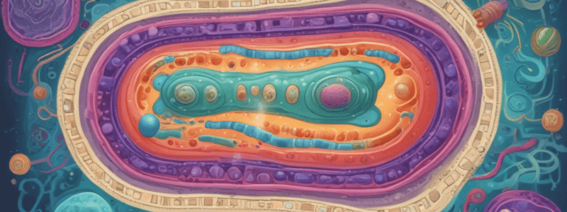 Prokaryotes Biology Quiz