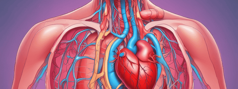 Vasodilatation and Adiponectin: Effects on Blood Pressure and Cardiovascular System