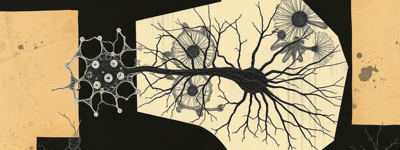 Cell Biology: Cytoskeleton Overview