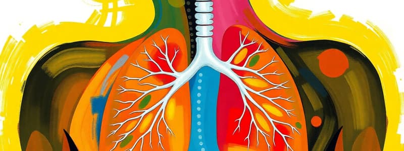 Respiratory System Overview Quiz