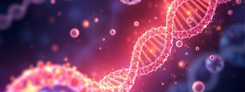 Eukaryotic Transcription Regulation