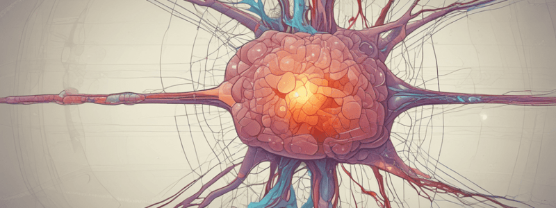 Physiology Chapter: Electrochemical Potentials and Axon Potentials