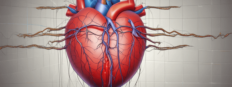 The cardiac system: anatomy and physiology