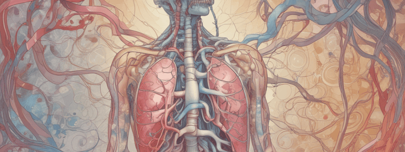 Respiratory System: Gas Exchange