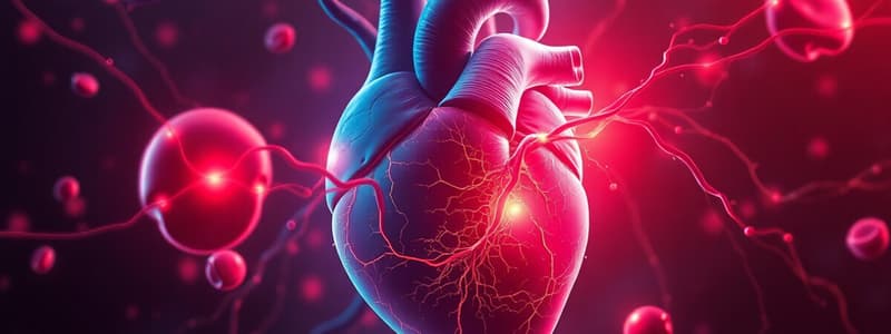 Cardiovascular System Overview Quiz