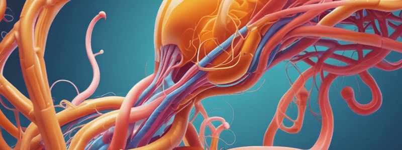 Anatomy of the Nephron and Urine Composition