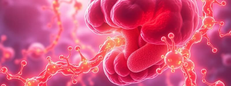 Cholesterol Metabolism and Synthesis