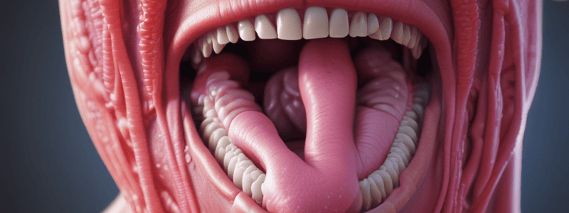 Anatomy and Function of the Tongue and Salivary Glands