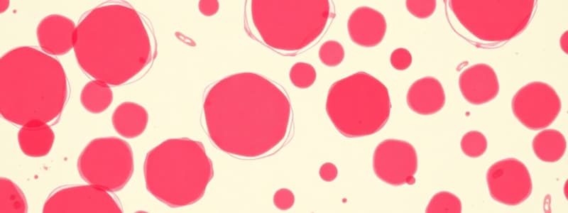 Differential Count and Blood Smear Preparation