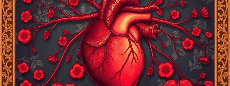 Cardiovascular System Overview