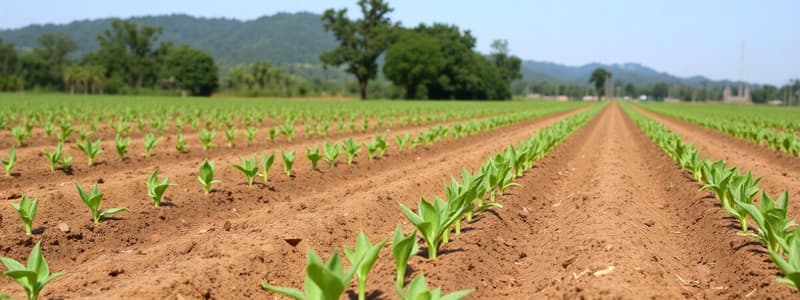 Grade 11 Agriculture: Crop Production Introduction