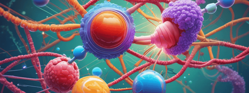 Cell Cycle Regulatory Mechanisms Quiz