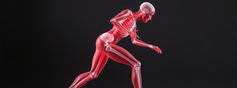 Kinesiology and Human Movement Overview