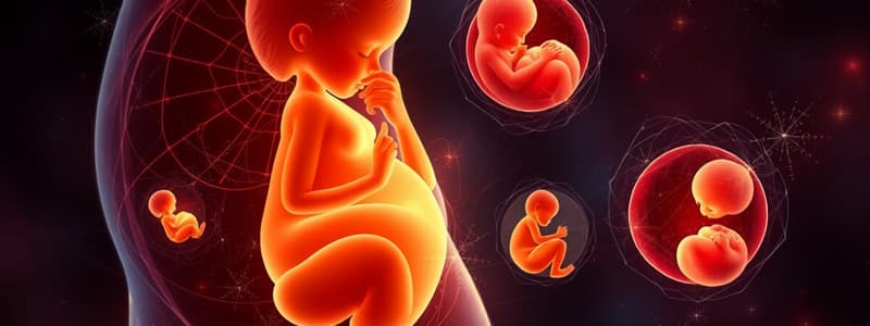 Fetal Development Overview