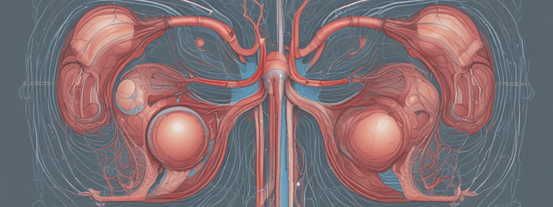 Urinary System Disorders and Functions