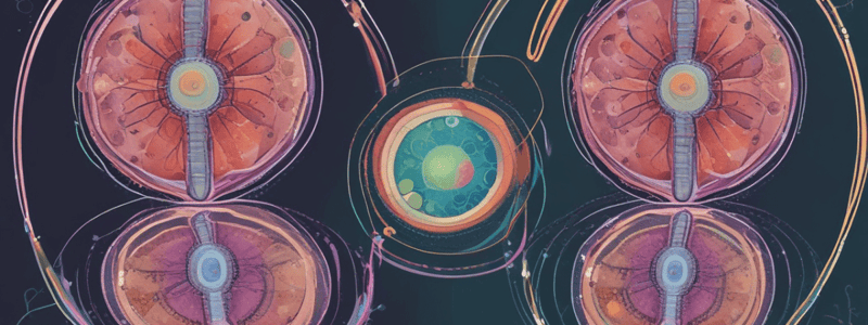 Cell Division: Mitosis and Meiosis