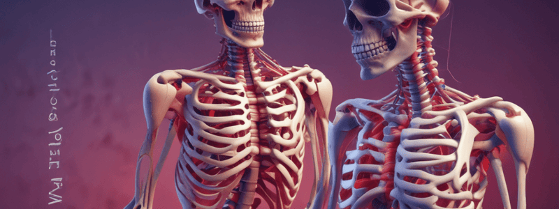 Musculoskeletal System Functions and Diseases Quiz