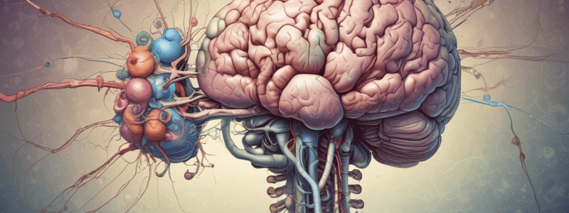 Brainstem Syndromes: Weber's Syndrome