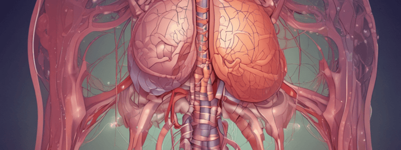 Thyroid Physiology (Medium)