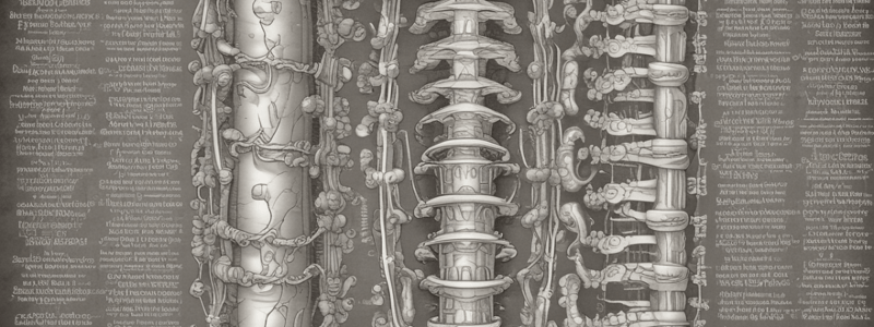 Vertebral Column: Structure, Function, and Stability