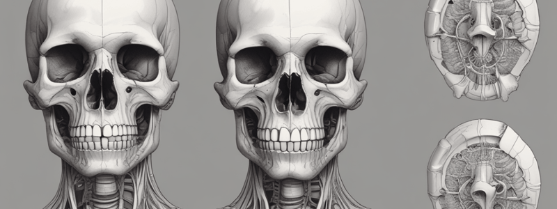 Bone Biology and Composition