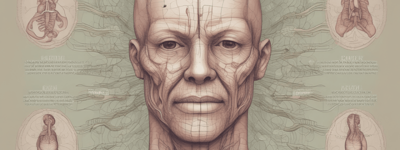 Respiratory System Anatomy: Nose and Pharynx Functions