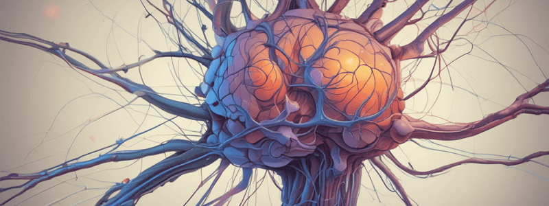 Acetylcholine and Cholinergic System