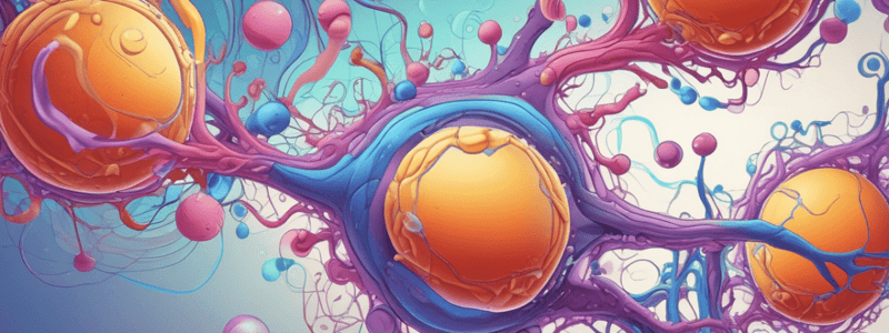 Y1S2 004 I Biochem Lipids Definition, Types, and Functions