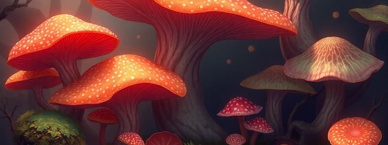 Kingdom Fungi Overview