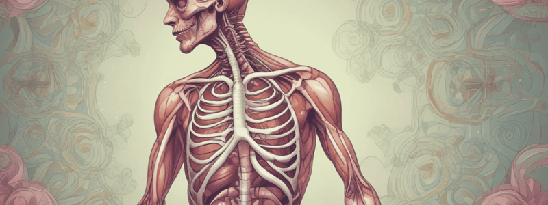 Respiratory System and Its Components