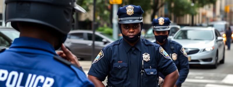 Stop-and-Frisk in the De Blasio Era