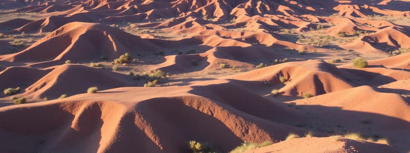 Tipos de Desiertos