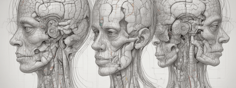 Neuroanatomy: Motor Tracts and Nuclei Quiz