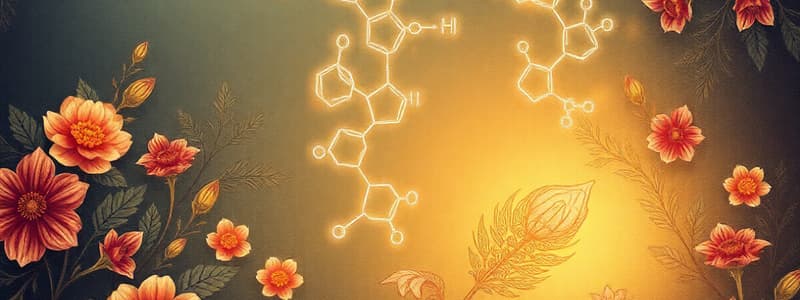 Organic Chemistry Reactions Overview