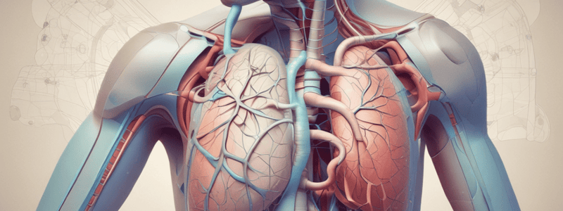 Lung Sounds and Pattern