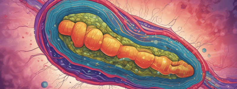 Mitochondria's Role in Apoptosis