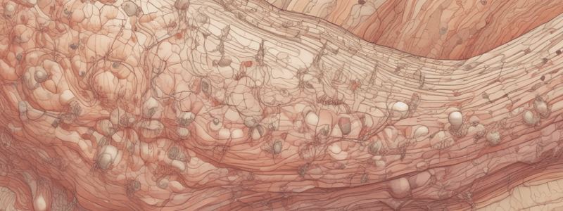 Integumentary Structures Derived from Epidermis