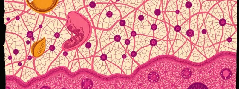 Epithelial Tissue: Characteristics and Classification