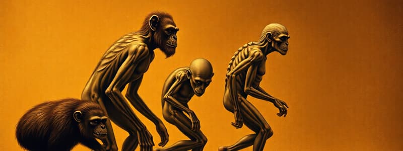 Overview of Human Evolution