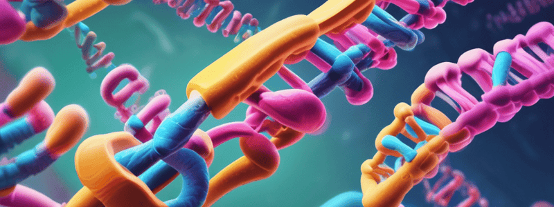 Human Chromosomes and Karyotypes Quiz