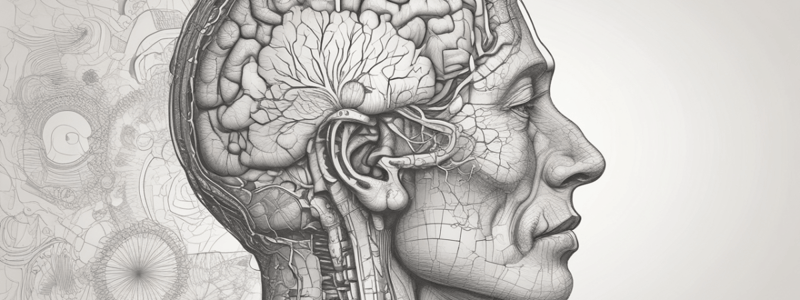 Dementia Screening: AD8 and MMSE