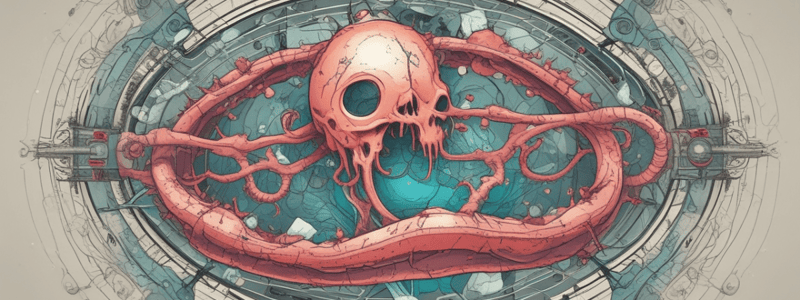 Apoptosis: Definition and Mechanisms