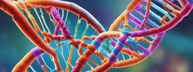 Medications Targeting DNA: Replication and Transcription