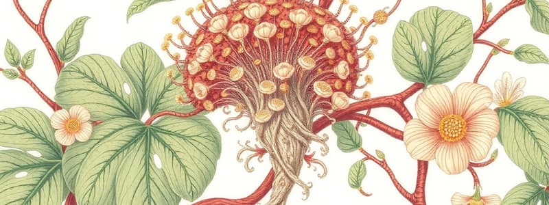 Phytophthora infestans Quiz