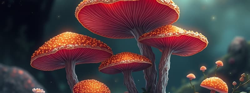 Fungi Eigenschaften und Merkmale