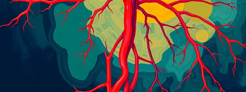 Development of blood vessels